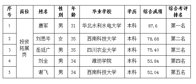 投资拓展岗