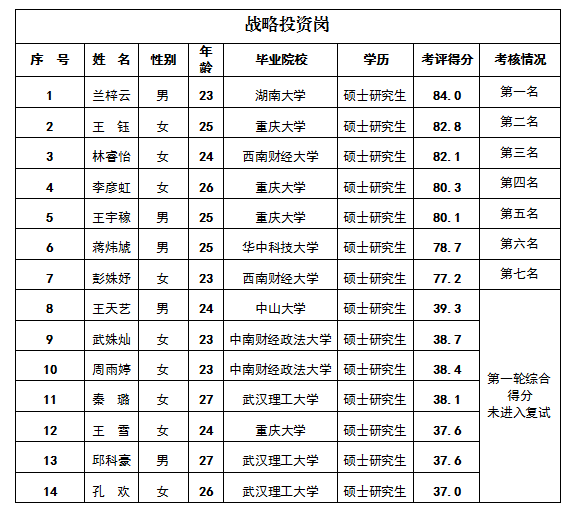 战略投资岗