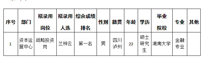 战略投资岗4.24