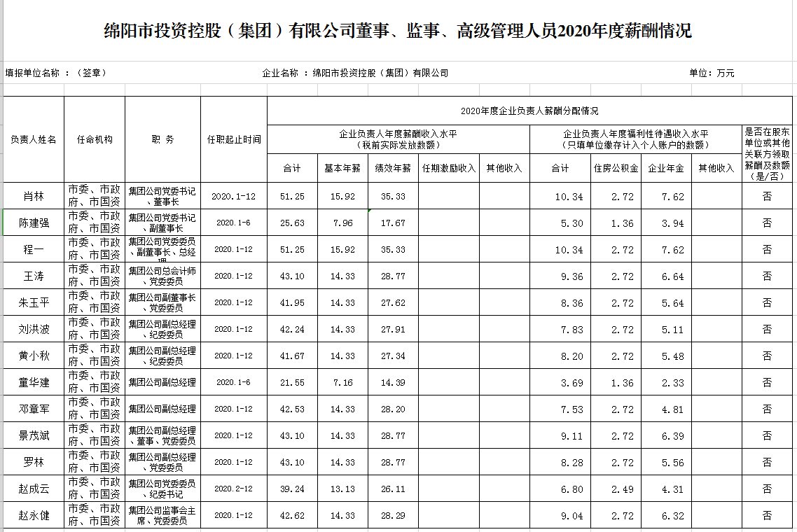 2020年度薪酬情况